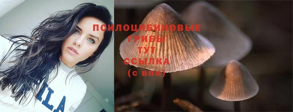 MESCALINE Алзамай