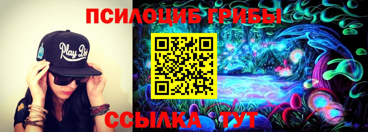 закладки  Галлюциногенные грибы Psilocybine cubensis  Вход с VPN  Дзержинский 
