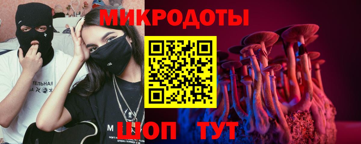 Псилоцибиновые грибы прущие грибы Дзержинский